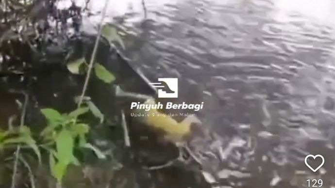 Mayat anak di sungai kawasan Sambas, Kalimantan Barat. 