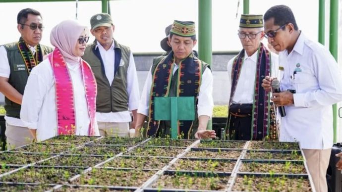 Raja Juli Antoni, Menteri Kehutanan (Menhut), saat berkunjung ke Persemaian Permanen di Labuan Bajo, Nusa Tenggara Timur, Senin, 7 Juli 2025