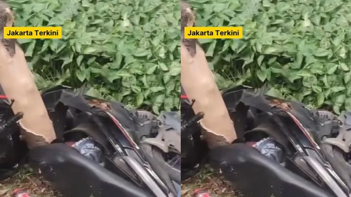 Telah terjadi kecelakaan tunggal sebuah motor menabrak pohon dan trotoar di Jalan Jendral Ahmad Yani, Cempaka Putih, Jakarta Pusat siang tadi, Kamis (17/7/2025).