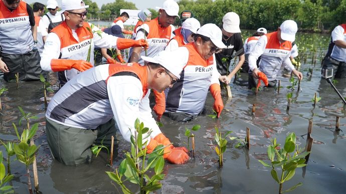 Pertamina melalui Pertamina International Shipping melaksanakan Program Tanggung Jawab Sosial dan Lingkungan (TJSL) &ldquo;BerSEAnergi untuk Laut&rdquo; Marine BiodiverSEAty.