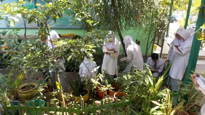 Manda, Para siswa yang tergabung dalam Palang Merah Remaja (PMR) Unit MAN 2 Model (Manda) Banjarmasin mempelajari hal baru, yaitu tentang pemanfaatan obat-obatan tradisional dan Apotek Hidup yang langsung dibina oleh Taufikurrahman, S.Pd.I selaku Pem