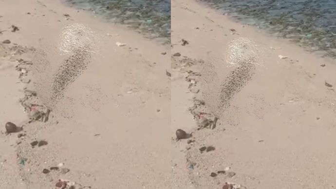 . Penemuan ini mengarah pada dugaan bahwa jasad tersebut adalah wisatawan asal Jakarta yang hilang di Pantai Siung sepekan lalu.