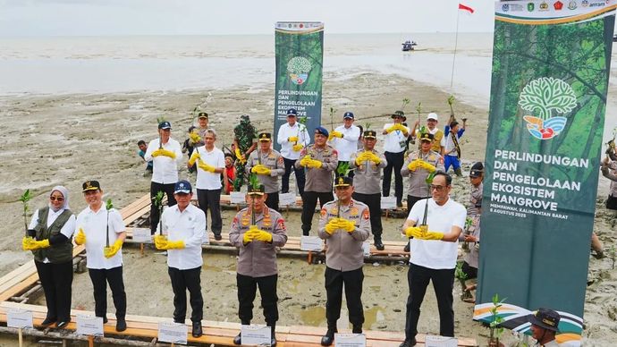 Kapolri Jenderal Pol. Listyo Sigit Prabowo (tengah) melaksanakan kegiatan penanaman mangrove di Mempawah, Kalimantan Barat (Kalbar), Jumat  Agustus 2025. ANTARA/HO-Divisi Humas Polri.