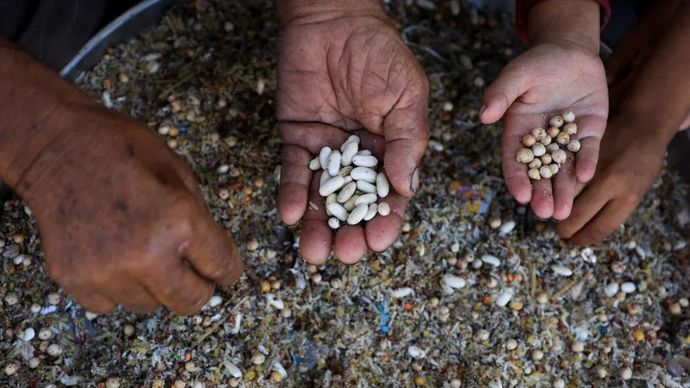 Warga Palestina mengais sampah untuk mencari sisa-sisa makanan yang masih dapat mereka konsumsi untuk bertahan hidup di tengah krisis kelaparan di Gaza, Palestina, Senin (28/7/2025).