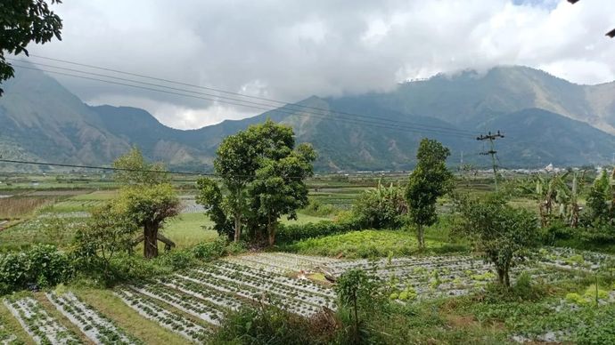 Perbukitan di kawasan Gunung Rinjani Lombok, Nusa Tenggara Barat (NTB) di Mataram, Minggu 10 Agustus 2025. ANTARA/Akhyar Rosidi.
