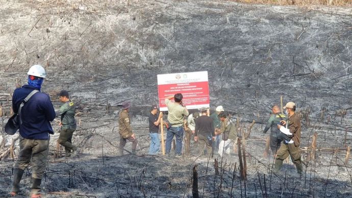 Petugas Gakkum Kemenhut memasang papan pengawasan sebagai bagian dari proses penyegelan lahan kebakaran hutan di Kalimantan Barat, Selasa (29/7/2025).