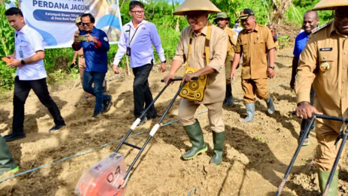 Tanam Jagung Bersama Warga, Menteri Desa Tunjukkan Komitmen Bangun Papua 