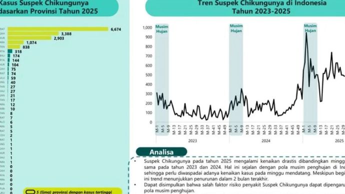 Data chikungunya 2025
