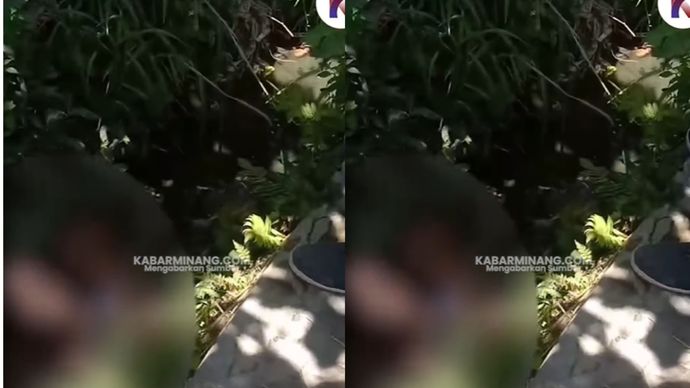 Warga Binubu, Kecamatan Padang Gelugur, Kabupaten Pasaman digegerkan dengan penemuan mayat pada Selasa (12/8/2025).