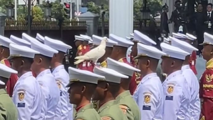 Merpati Hinggap di Kepala Pasukan Upacara HUT ke-80 RI 