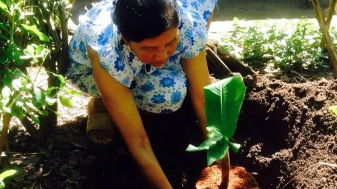 Mencuci tangan sesaat setelah bekerja yang bersentuhan dengan tanah, karena perjalanan cacing ke tubuh bisa berawal dari sana. 