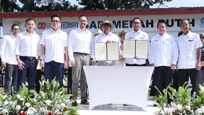 BRI mendukung program Sapi Merah Putih/Foto: Istimewa