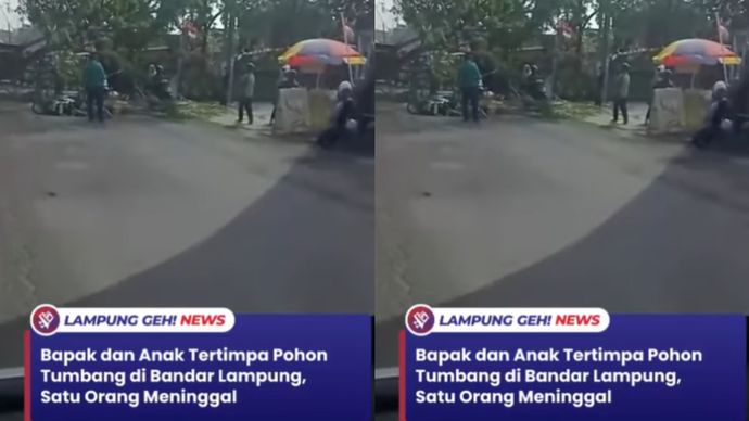 Seorang bapak dan anak tertimpa pohon tumbang di Jalan Ratu Dibalau, Way Kandis, Bandar Lampung, Selasa (2/9) sekitar pukul 15.00 WIB. Satu orang dilaporkan meninggal dunia.