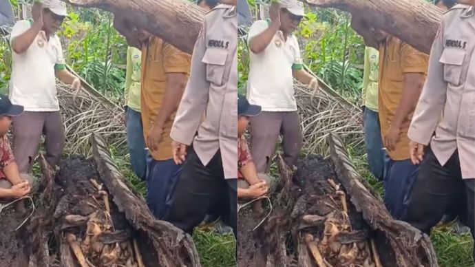 kerangka manusia didalam pohon aren