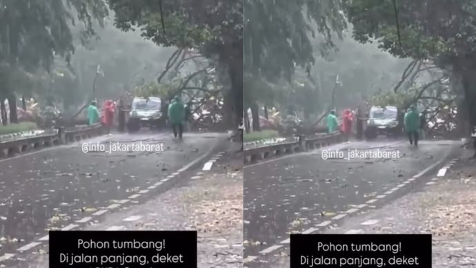 Selasa siang, 9 September 2025, dilaporkan terjadi pohon tumbang akibat hujan angin di dekat ABUBA Steak, Jalan Panjang, Kedoya, Jakarta Barat.  Mohon berhati-hati.