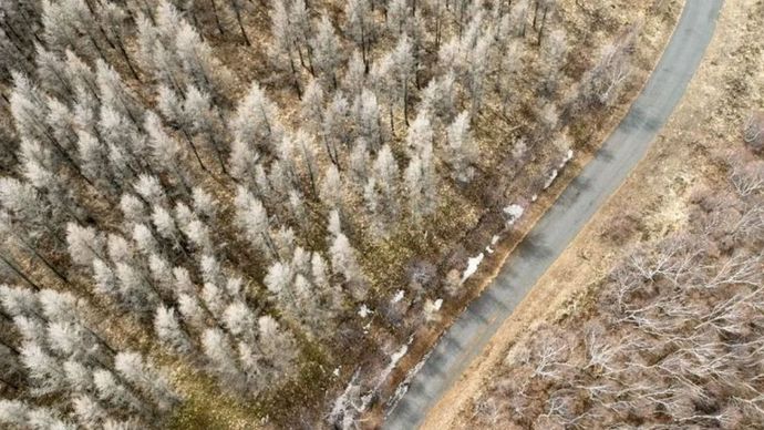 Gambar udara yang diambil dengan drone pada 4 April 2024 dari pemandangan Cagar Alam Daqingshan di Hohhot, di Daerah Otonomi Mongolia Dalam di Cina utara.