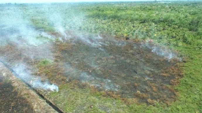 Kebakaran lahan terpantau dari udara di kawasan Desa Suak Raya, Kecamatan Johan Pahlawan, Kabupaten Aceh Barat, Kamis, 9 Oktober 2025. ANTARA/HO-BPBD Aceh Barat