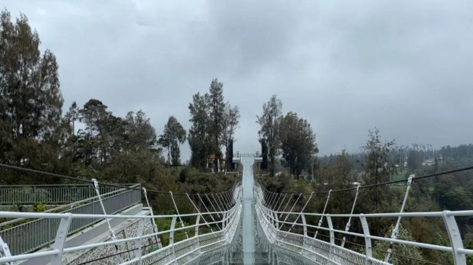 Penampakan Jembatan Kaca di kawasan wisata Gunung Bromo yang menghubungkan antara Seruni Point dengan shuttle area pemandangan Gunung Bromo, Gunung Bathok, dan Gunung Semeru. ANTARA/HO-Balai Besar TNBTS