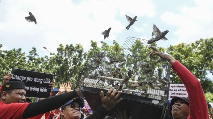 Arsip foto - Sejumlah pedagang Pasar Hewan Barito melepaskan burung saat berunjuk rasa di depan Balai Kota DKI Jakarta, Selasa (14/10/2025). Mereka menolak lapak pasar hewan direlokasi ke kawasan Lenteng Agung karena dianggap tidak strategis dan akan kehilangan pelanggan mereka. ANTARA FOTO/Hafidz Mubarak A/tom.