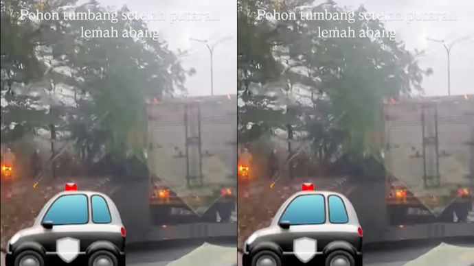 Pohon Tumbang di Cikarang Bekasi