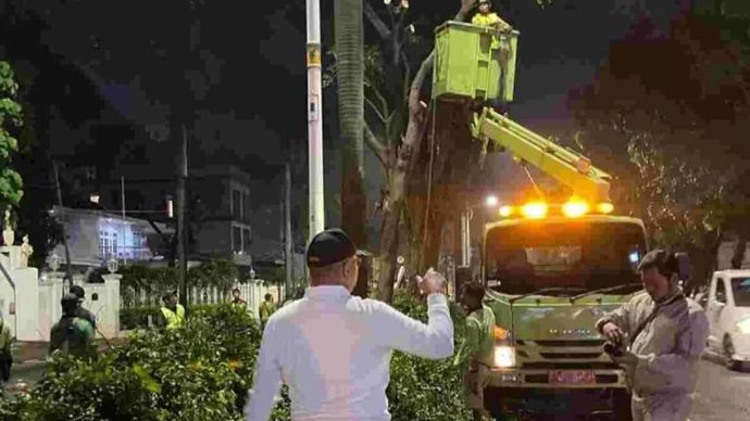 Dinas Pertamanan dan Hutan Kota (Distamhut) DKI Jakarta meremajakan pohon di kawasan Jalan Metro Pondok Indah, Jakarta Selatan, Senin malam 27 Oktober 2025. ANTARA/HO-Pemprov DKI Jakarta.