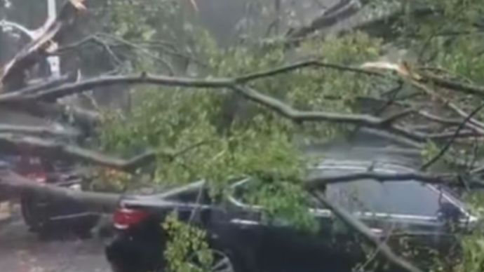 VIDEO: Pohon Tumbang Timpa Mobil Mewah di Dharmawangsa