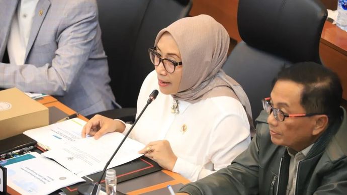 Menteri PPPA Arifah Fauzi dalam Rapat Dengar Pendapat dengan Tim Pengawas Penanganan Kebencanaan DPR RI, Rabu, 5 November 2025. ANTARA/HO-Kemen PPPA