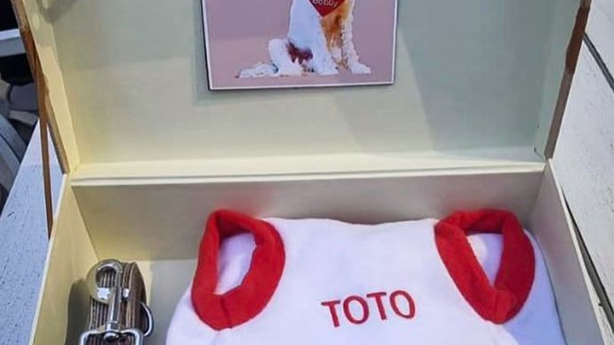 Prabowo Beri Kado ke Anjing Peliharan PM Albanese, Bobby Kertanegara dan Toto Jadi Simbol Persahabatan Indonesia-Australia