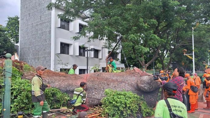 Pohon tumbang di Jalan Sisingamangaraja, tepatnya depan gedung Caraka Loka Kementerian Luar Negeri (Kemenlu), Gunung, Kebayoran Baru, Jakarta Selatan, Kamis 20 November 2025. ANTARA/Luthfia Miranda Putri.