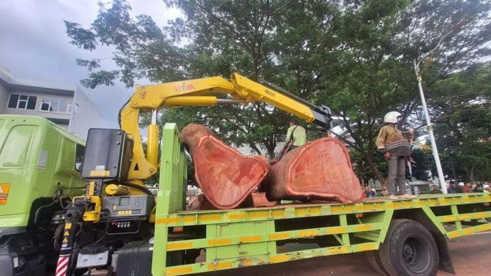 Pemotongan dilakukan terhadap pohon yang tumbang di Jalan Sisingamangaraja, tepatnya depan gedung Caraka Loka Kementerian Luar Negeri (Kemenlu), Gunung, Kebayoran Baru, Jakarta Selatan, Kamis 20 November 2025. ANTARA/Luthfia Miranda Putri.