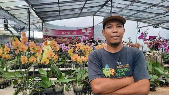 Salah satu pengusaha anggrek bulan yang ada di kompleks dekat Ragunan, Rangga Ferdiansyah memiliki toko yang terletak di kavling paling depan area taman. Tokonya sering menjadi pemberhentian pertama para pemburu anggrek yang baru datang ke Taman Anggrek Ragunan.