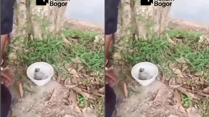 Penemuan Granat Aktif Gegerkan Warga Ciseeng Bogor