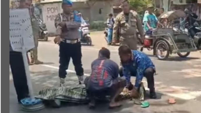 Kecelakaan maut terjadi di jalur wisata Bromo, Kecamatan Gondang Wetan, Kabupaten Pasuruan, Senin (1/12/2025) siang. Dua pengendara motor terlibat insiden dengan sebuah truk tangki. Satu orang meninggal dunia di lokasi, sementara satu lainnya mengalami luka serius.