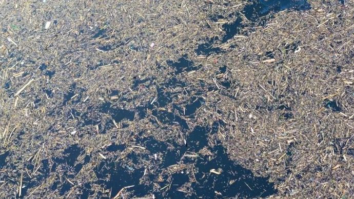 Foto udara sampah kayu gelondongan yang hanyut di Danau Singkarak di Nagari Muaro Pingai, Kabupaten Solok, Sumatera Barat, Minggu, 30 November 2025. Sampah kayu gelondongan tersebut menumpuk di sepanjang jalur banjir bandang dalam beberapa hari terakhir. ANTARA FOTO/Wawan Kurniawan/tom.