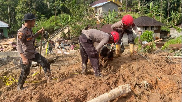 Anjing pelacak Polri digunakan untuk mencari korban longsor di Sumatra. 