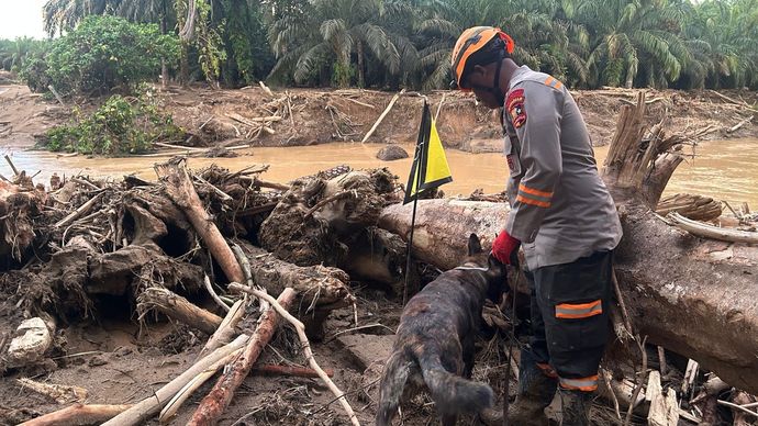 Tim K9 Ditpolsatwa Baharkam Polri Bantu Pencarian Korban Bencana di Bantaran Sungai Huta Raja 