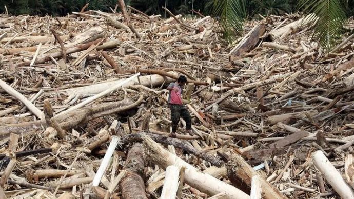 Warga berjalan di atas sampah kayu gelondongan pascabanjir bandang di Desa Aek Garoga, Kecamatan Batang Toru, Kabupaten Tapanuli Selatan, Sumatera Utara, Sabtu, 29 November 2025. ANTARA FOTO/Yudi Manar/agr/am.