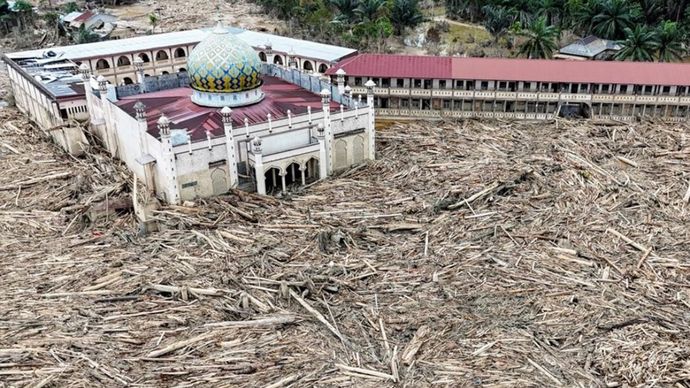 Penampakan Lautan Batang Kayu Penuhi Sekitar Masjid di Aceh Tamiang