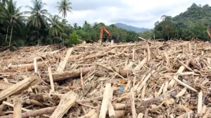 Petugas menggunakan alat berat membersihkan sampah kayu gelondongan pasca banjir bandang di Desa Aek Garoga, Kecamatan Batang Toru, Kabupaten Tapanuli Selatan, Sumatera Utara, Sabtu (29/11/2025). Sampah kayu gelondongan tersebut menumpuk di pemukiman warga dan sungai pasca banjir bandang pada Selasa 25 November 2025. ANTARA FOTO/Yudi Manar.