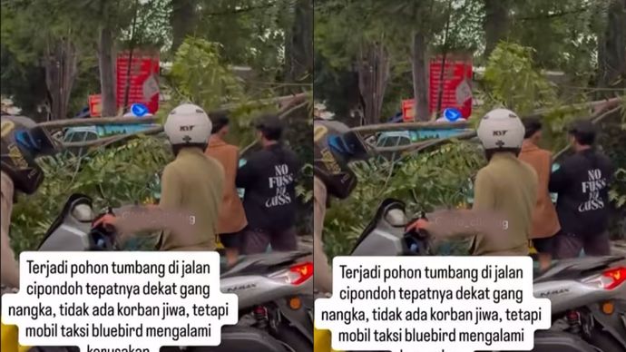 Pohon Tumbang di Ciledug