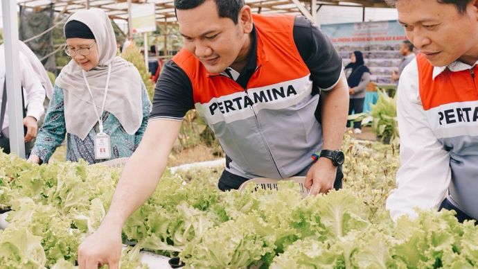 PT Pertamina Trans Kontinental (PTK) terus memperkuat komitmennya dalam menghadirkan dampak sosial dan ekonomi yang berkelanjutan melalui implementasi Desa Energi Berdikari (DEB) Tahap II Wisata Kariangau di Kelurahan Kariangau, Kecamatan Balikpapan Barat, Kota Balikpapan (Istimewa) 