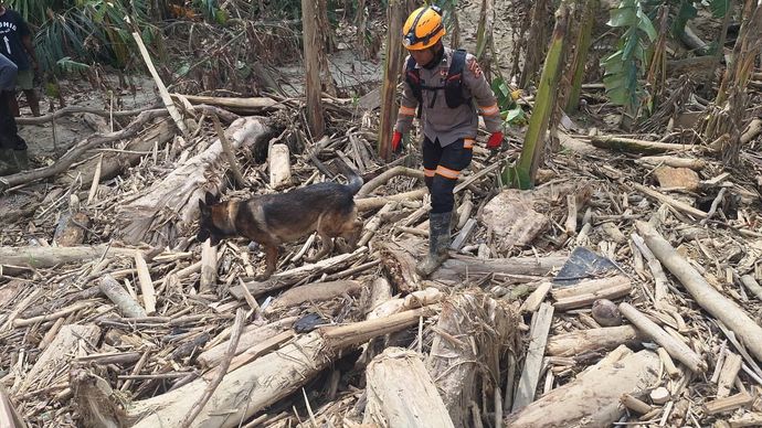 Anjing pelacak Polri di Kabupaten Aceh Tamiang. 