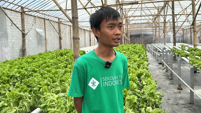 Petani Milenial Syukuri Peluang Jadi Pemasok Sayuran Program MBG