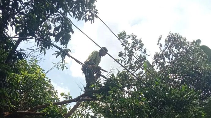 Pemerintah Kota (Pemkot) Jakarta Timur (Jaktim) mengevakuasi pohon tumbang dan sempal yang menimpa atap bus di Jalan Bokir Bin Djiun, Kelurahan Duku, Kecamatan Kramat Jati, Selasa 23 Desember 2025. (ANTARA/HO-Pemerintah Kota Jakarta Timur.)