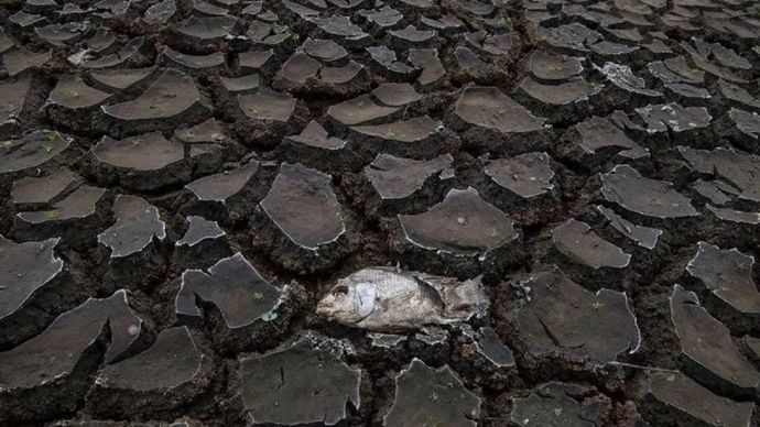 Ilustrasi - Krisis air (ANTARA FOTO/WAHYU PUTRO A)