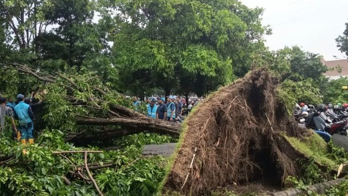 Sejumlah pohon di area parkir Bandara Internasional Juanda ambruk dan menimpa sejumlah motor yang terparkir pascakejadian angin kencang yang melanda, Kamis, 8 Januari 2026. (ANTARA/Fahmi Alfian)