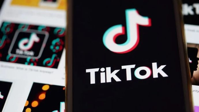 Di bawah kemitraan baru itu, TikTok akan dapat menayangkan siaran langsung (livestream) bagian-bagian tertentu dari pertandingan Piala Dunia, memublikasikan lebih banyak cuplikan yang dikurasi, serta mengakses konten khusus yang diproduksi FIFA khusus untuk platform tersebut.