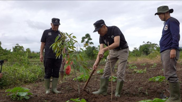 Ahmadiyah Indonesia Tanam 10.500 Pohon di Bogor