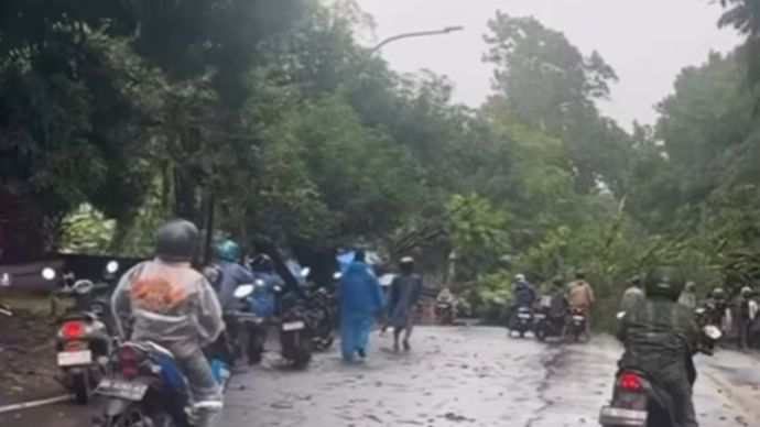 Sebuah pohon berukuran besar tumbang di Jalan Perintis Kemerdekaan, Kota Makassar, tepatnya di depan Hotel Dalton, pada Minggu sore (11/01).