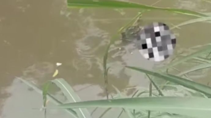 telah ditemukan jenazah seseorang yang hanyut di Kali Lenteng Agung, RT 03 RW 02, pada pagi hari ini, Jumat, 16 Januari 2026, sekitar pukul 08:15 WIB.